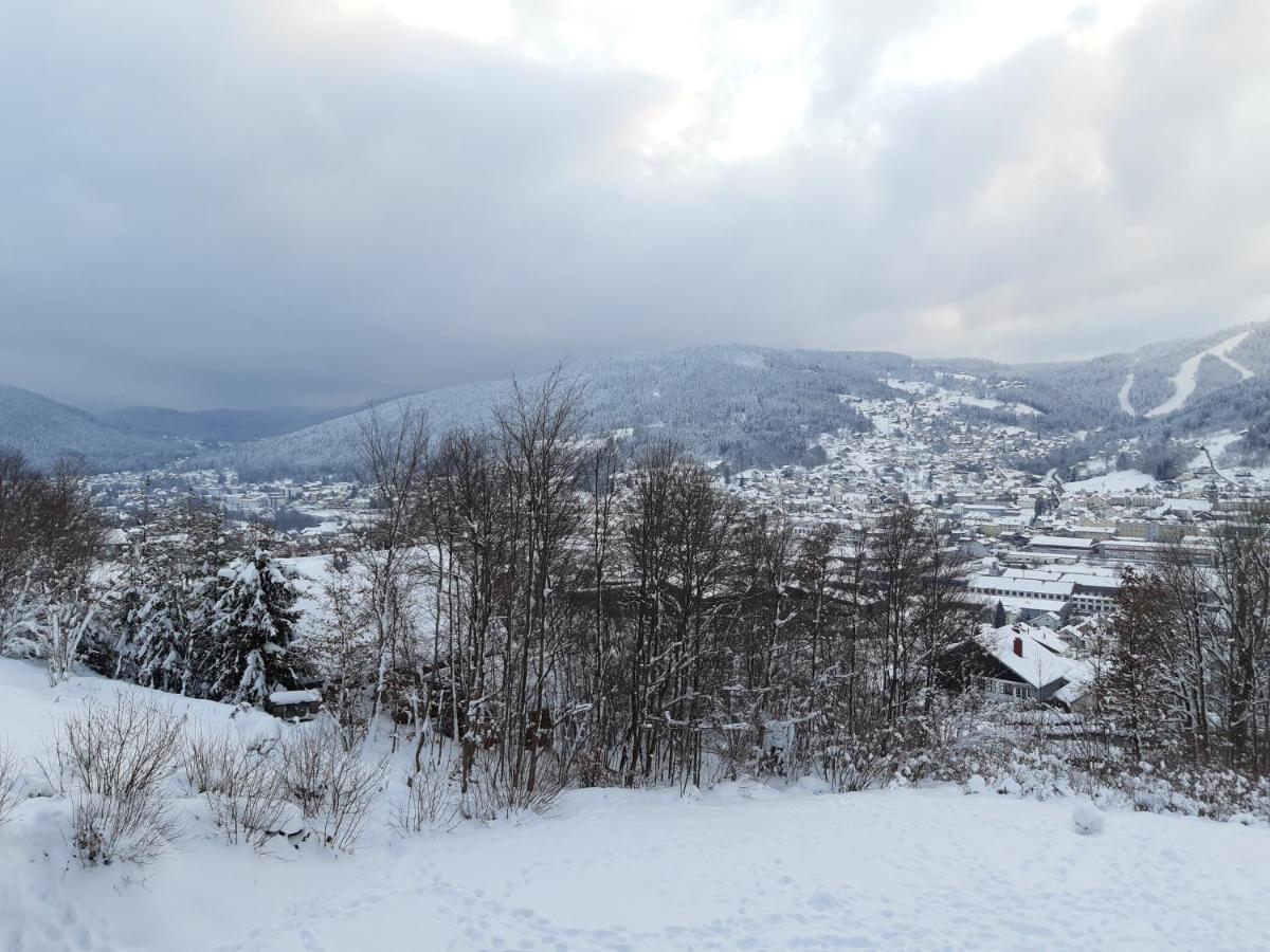 Studio Les Bleuets Gerardmer Ngoại thất bức ảnh
