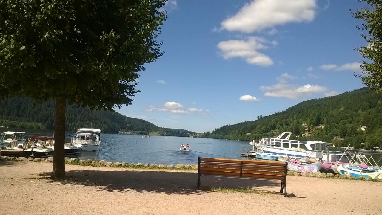 Studio Les Bleuets Gerardmer Ngoại thất bức ảnh